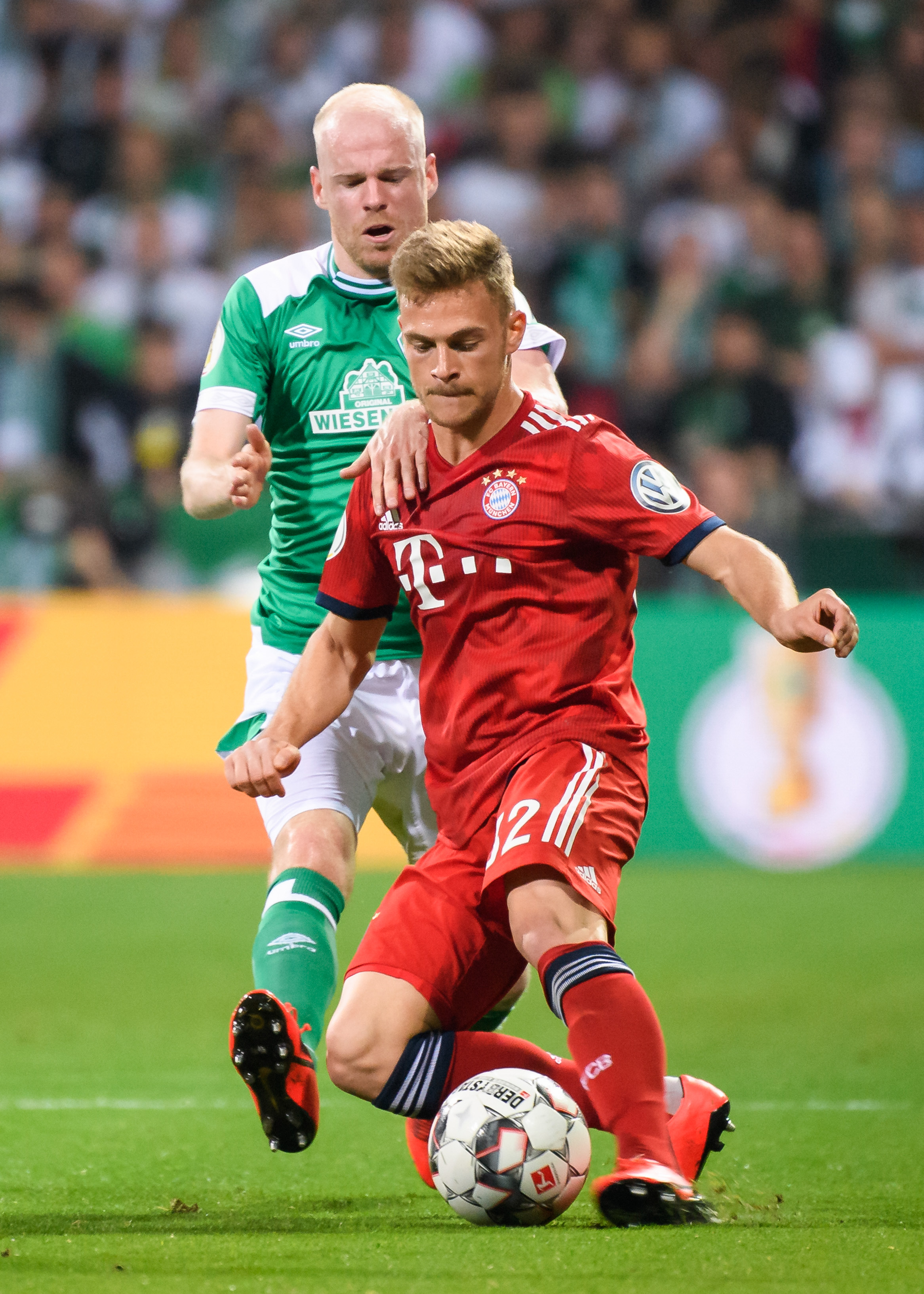 的稳步增长 的稳步增长